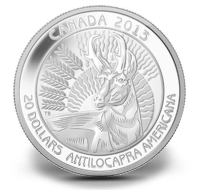 Fine Silver Coin - Pronghorn - Mintage: 8500 (2013) | The Royal