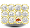 Ensemble de 12 pièces de 1/2 oz en argent fin - Ô Canada - Tirage : 1 500 (2013)