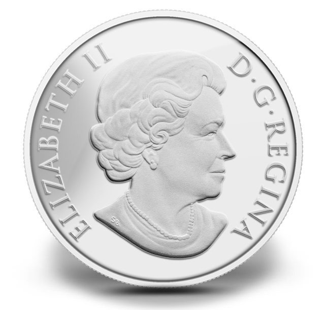 $100 for $100 Fine Silver Coin - Bison (2013) | The Royal Canadian
