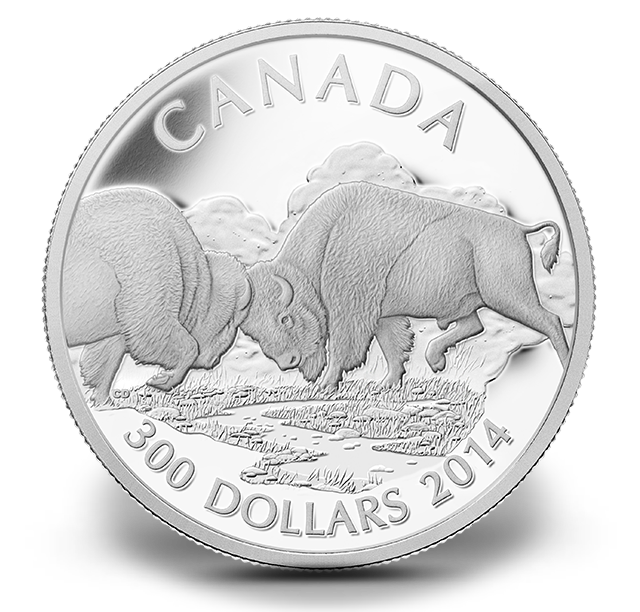 Reference image of 1 oz. Fine Platinum Coin - Fighting Bison - Mintage: 200 (2014)