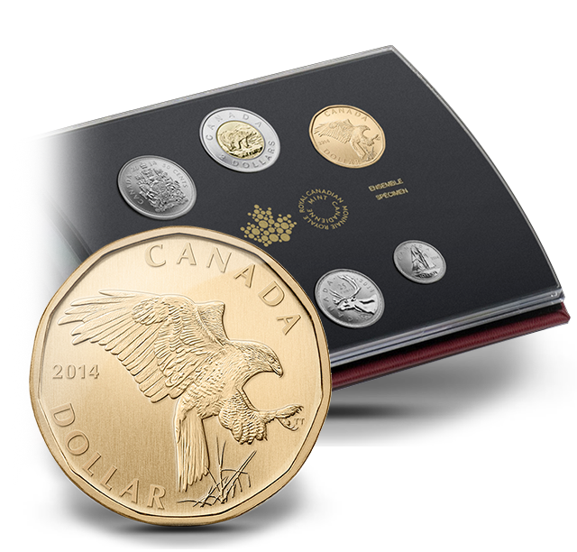 Specimen Set - Ferruginous Hawk (2014) | The Royal Canadian Mint