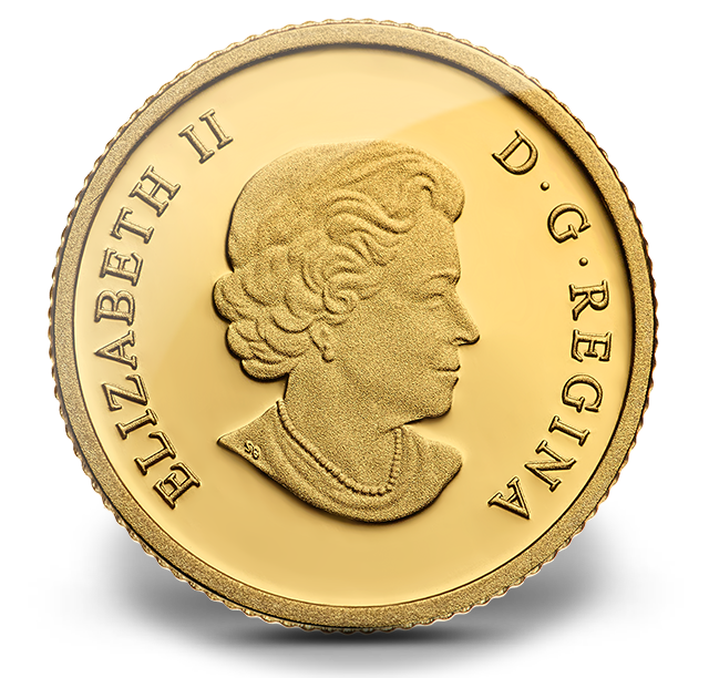 Reference image of 1/10 oz Pure Gold Coin - The Moose - Mintage: 4,000 (2014)