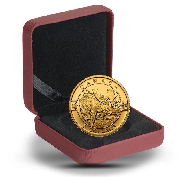 1/10 oz Pure Gold Coin - The Moose - Mintage: 4,000 (2014) | The