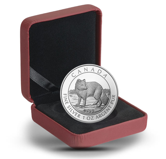 129655_pkg-640.png?hash=