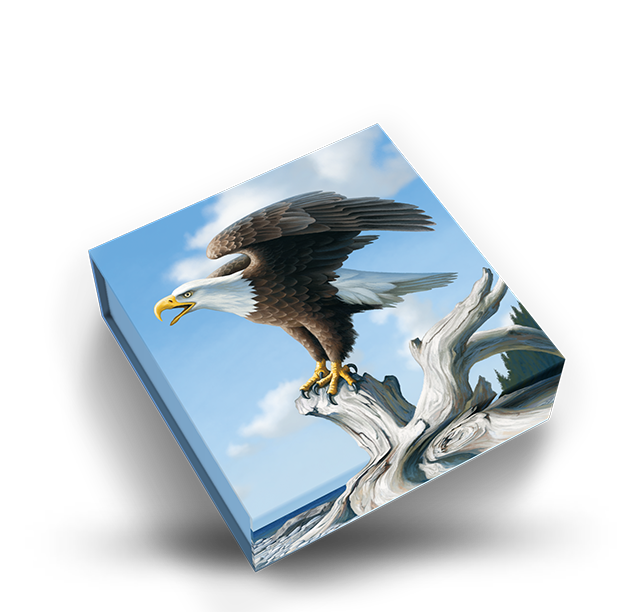 Reference image of $100 for $100 Fine Silver Coin - Bald Eagle (2014)