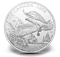 $100 for $100 Fine Silver Coin - Bald Eagle (2014)