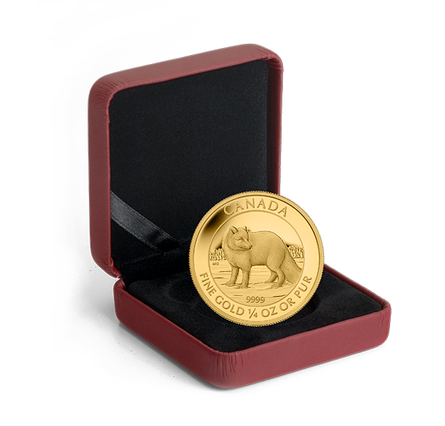 132492_pkg-640.png?hash=