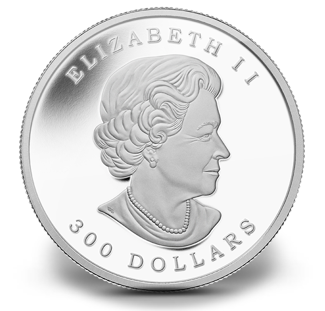 Reference image of 1 oz. Pure Platinum Coin - Maple Leaf Forever - Mintage: 250 (2014)