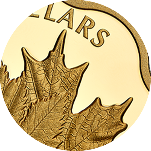 Reference image of EXCLUSIVE Masters Club Coin: Pure Silver Coin - Iconic Maple Leaves