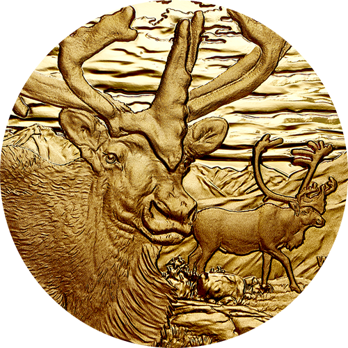 Reference image of 99.999% Pure Gold Coin - Canadian Wildlife Portraits: The Caribou