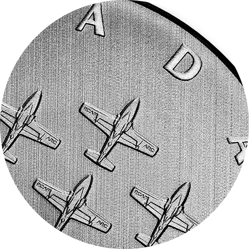 Reference image of 1/4 oz. Pure Silver Coin - Moments to Hold: The Snowbirds