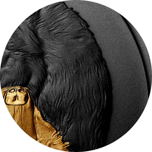 Reference image of 1 oz. Pure Silver Gold-Plated Coin - Black and Gold: The Grey Wolf
