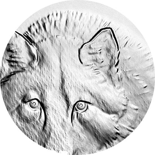 Reference image of 10 oz. Pure Silver Coin – Wolf Sketch by Robert Bateman