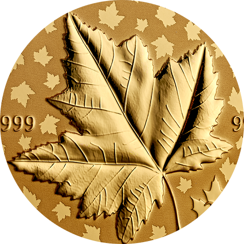 Reference image of 1 oz. Pure Gold Piedfort Coin – Maple Leaf Celebration