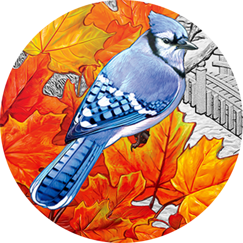 Reference image of 1 oz. Pure Silver Coin – Colourful Birds: Blue Jay