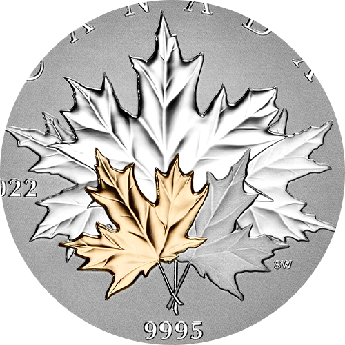 Reference image of 1 oz. 99.95% Pure Platinum Coin – Maple Leaf Forever