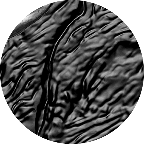 Reference image of 1 oz. Pure Silver Coin – Discovering Dinosaurs: Mercury's Horned Face