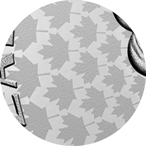 Reference image of 1 oz. Pure Silver Coin – Commemorating Black History: The Underground Railroad