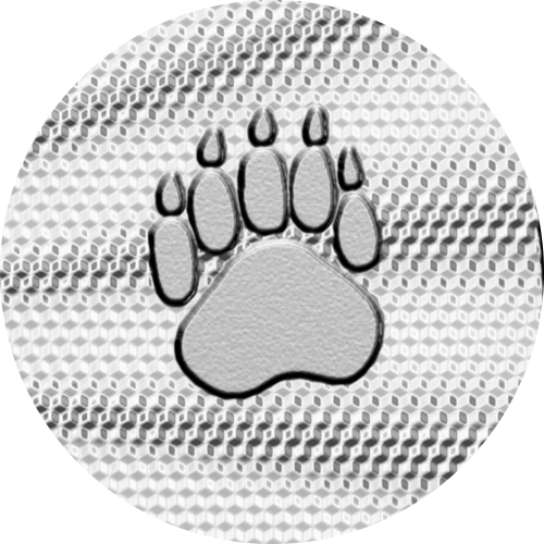 Reference image of 1 oz. Pure Silver Coin: First Strikes – The Majestic Polar Bear (Premium Bullion)