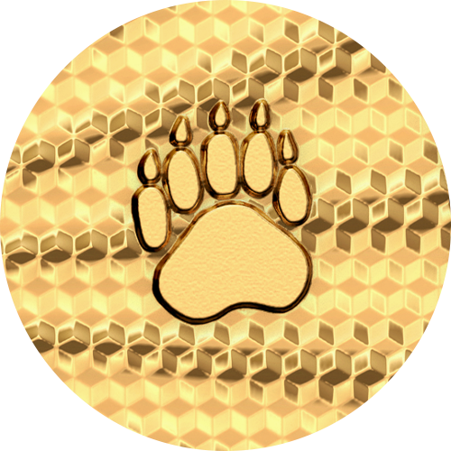 Reference image of 1/10 oz. Pure Gold Coin: First Strikes – The Majestic Polar Bear (Premium Bullion)
