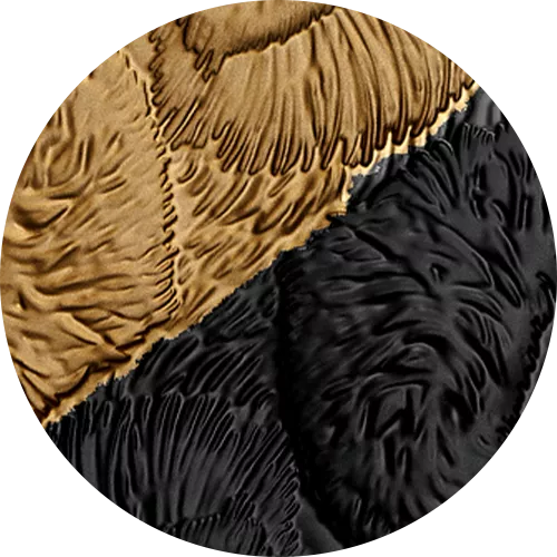 Black and gold rhodium