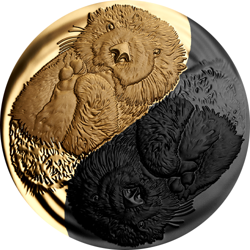 1 oz. Pure Silver Gold-Plated Coin – Black and Gold: The Sea Otter