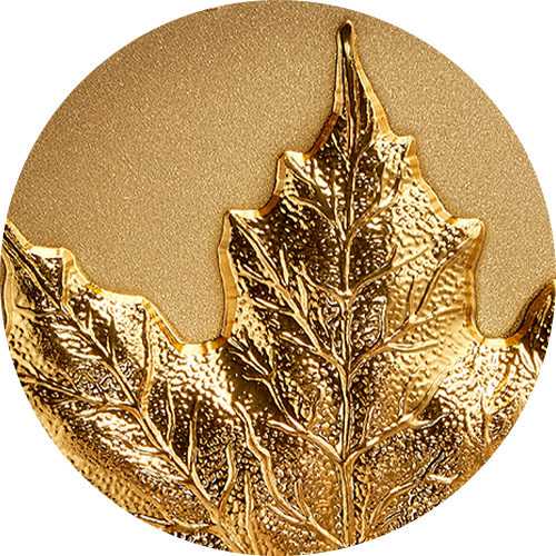 Reference image of 1 oz. Pure Gold Coin – Ultra-High Relief Gold Maple Leaf