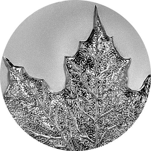 Reference image of 5 oz. Fine Silver Coin – Ultra-High Relief Silver Maple Leaf