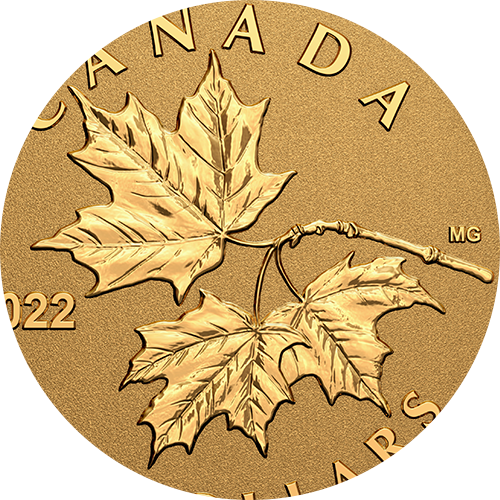 Reference image of 1/20 oz. Pure Gold Coin – Everlasting Maple Leaf