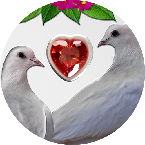 Reference image of 1 oz. Pure Silver Coin - Love is Precious: Dove
