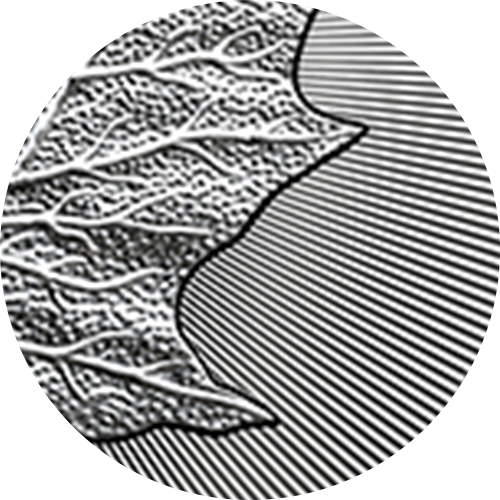 Reference image of 1 oz. 99.99% Pure Silver Coin - Treasured Silver Maple Leaf: Year of the Tiger