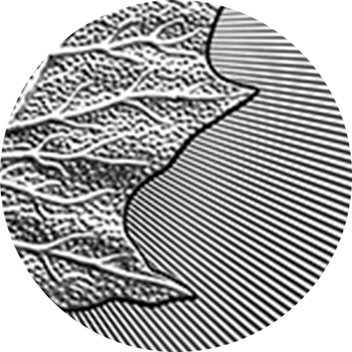 204376_features_cutting-edge-security-features.png?hash=637866720370000000 Comporte des caractéristiques de sécurité de pointe