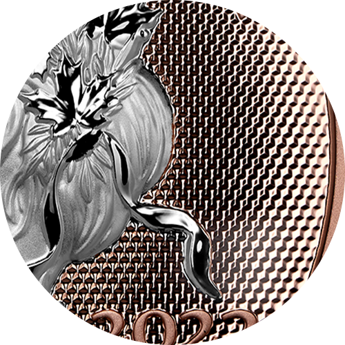 b2-ft-pulsatingfield.png?hash=638011704740000000 A pulsating field