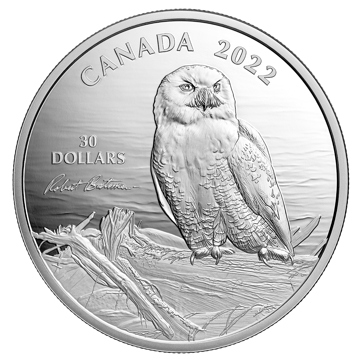 Canada’s most famous owl