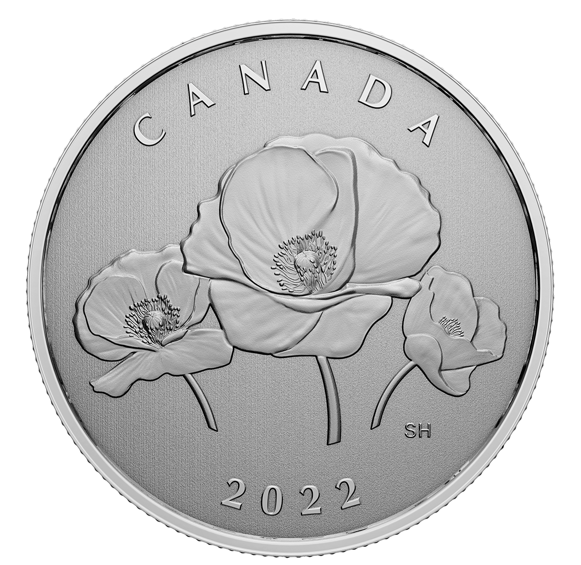 ¼ oz. Pure Silver Coin – Moments to Hold: Remembrance Day