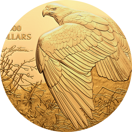 Reference image of Vantage Point – Bald Eagle by Robert Bateman - 1 Kilogram Pure Gold Coin