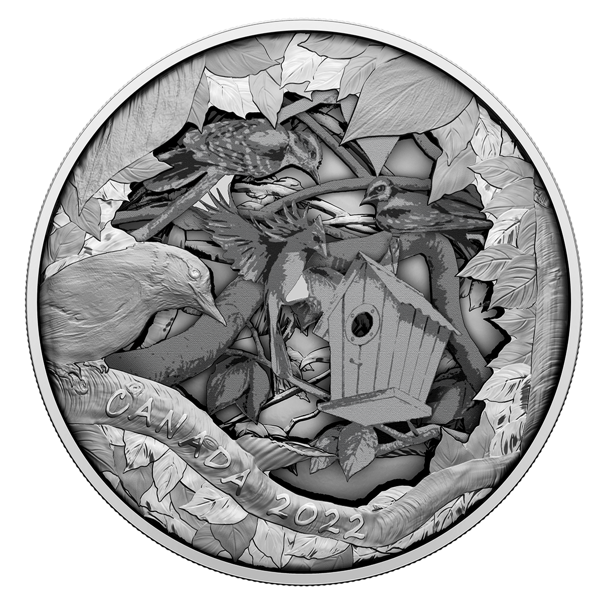 175 Fine Silver Coin From the R&D Lab Birds in Shadow Box The Royal Canadian Mint