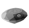 Pièce en argent pur en forme de diamant – Diamant Forevermark Black Label ovale