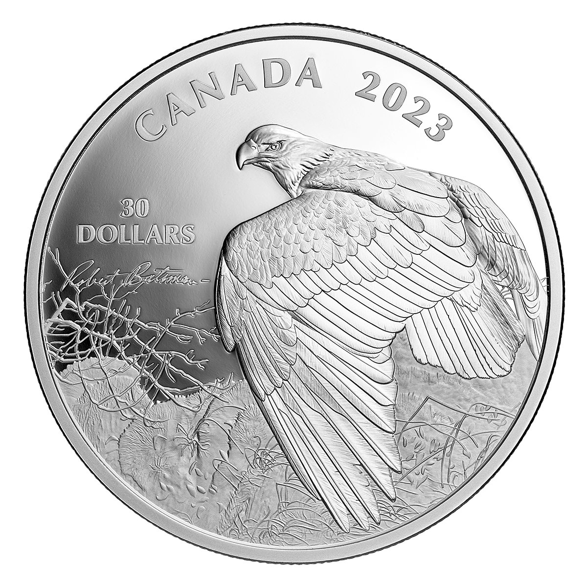 2 oz. Fine Silver Coin – Vantage Point – Bald Eagle by