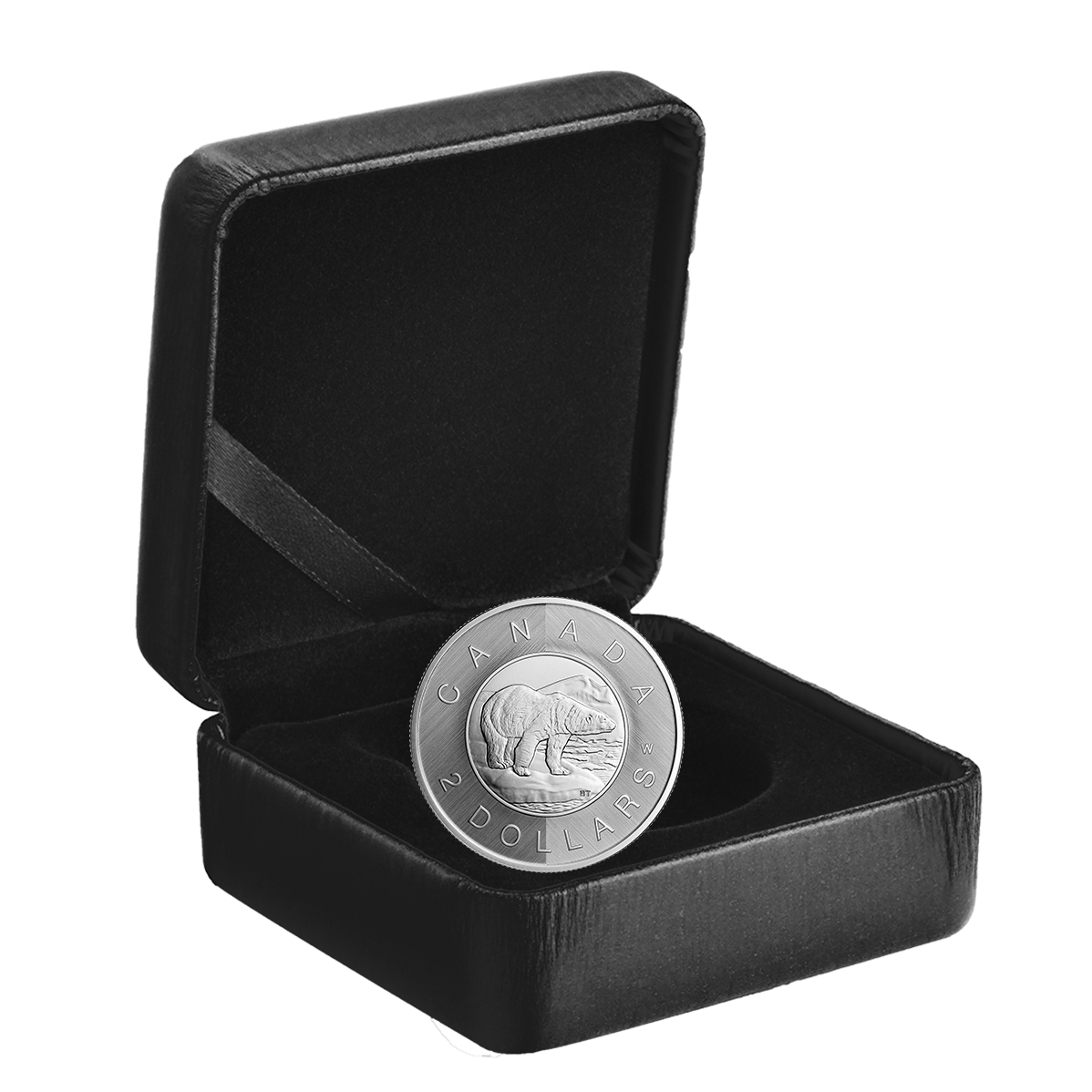 NGC MS65 2022 $2 カナダ ポーラーベア ブラック リング 021 Set Canada 2022 $2 Dollar Black Ring & 2022 Original Polar