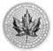 Ultra High Relief - SML - 5 oz. Pure Silver Coin (2023)