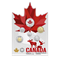 Ensemble de six pièces – Mosaïque d’emblèmes canadiens