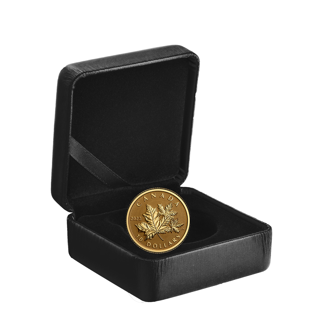 Everlasting Maple Leaf - 1/20 oz. Pure Gold Coin | The Royal