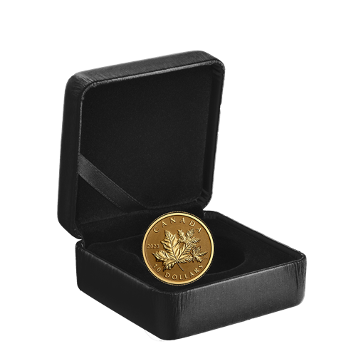 最安値に挑戦！ - Leaf Maple Everlasting 1/20 Royal The | Coin Gold Pure oz. コレクション