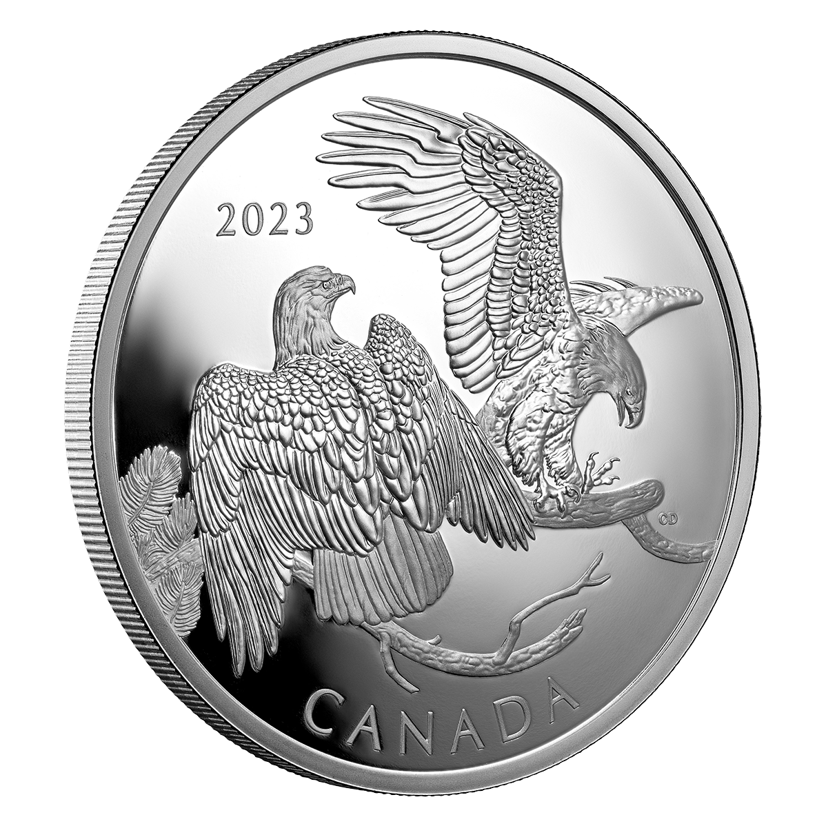 BRONZE AGE グレー USA製 BRONZE AGE グレー USA製