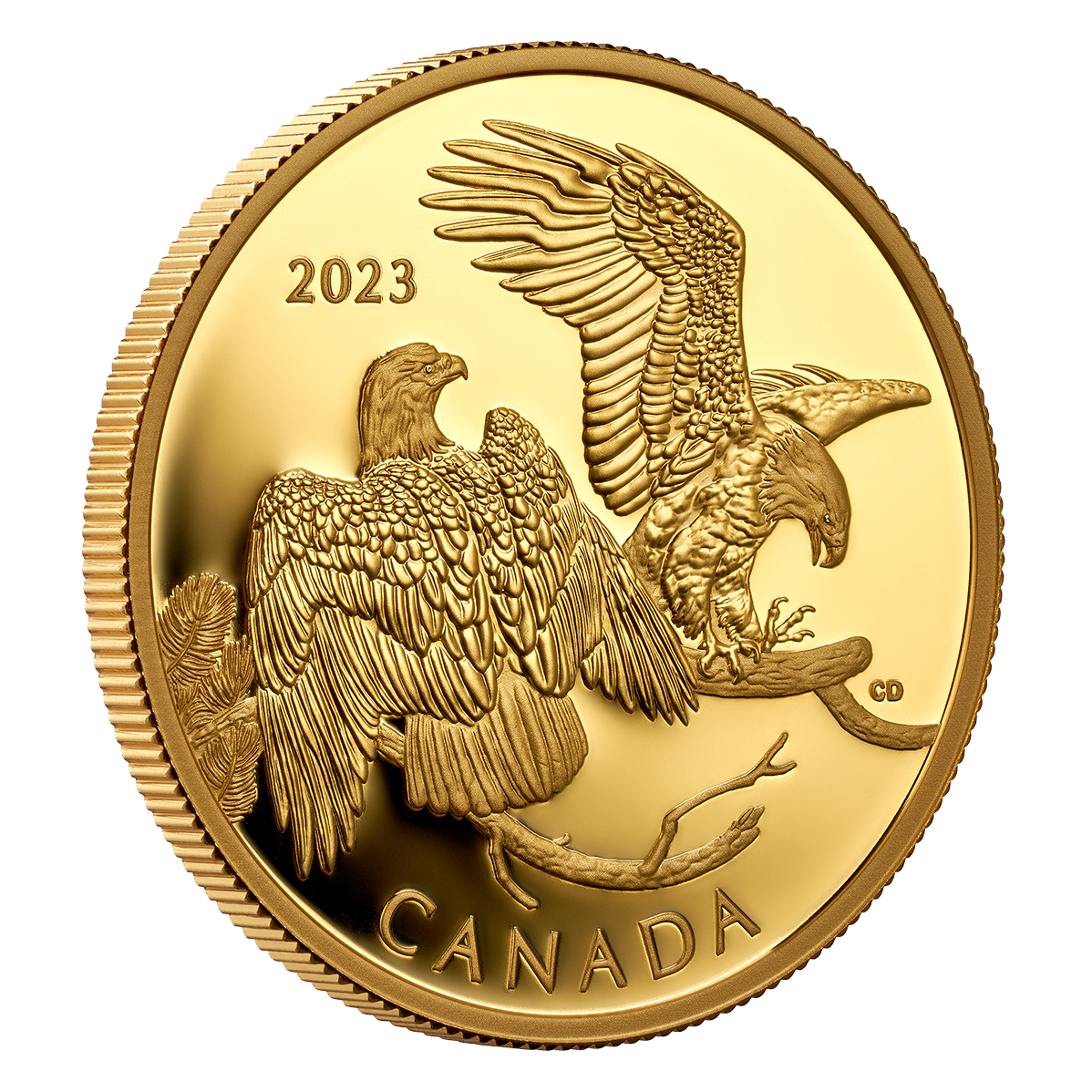 Pure Gold Coin The Striking Bald Eagle The Royal Canadian Mint