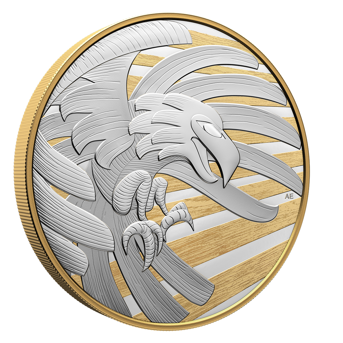 Raven Brings the Light - 1 kg Pure Silver Coin (2023) | The