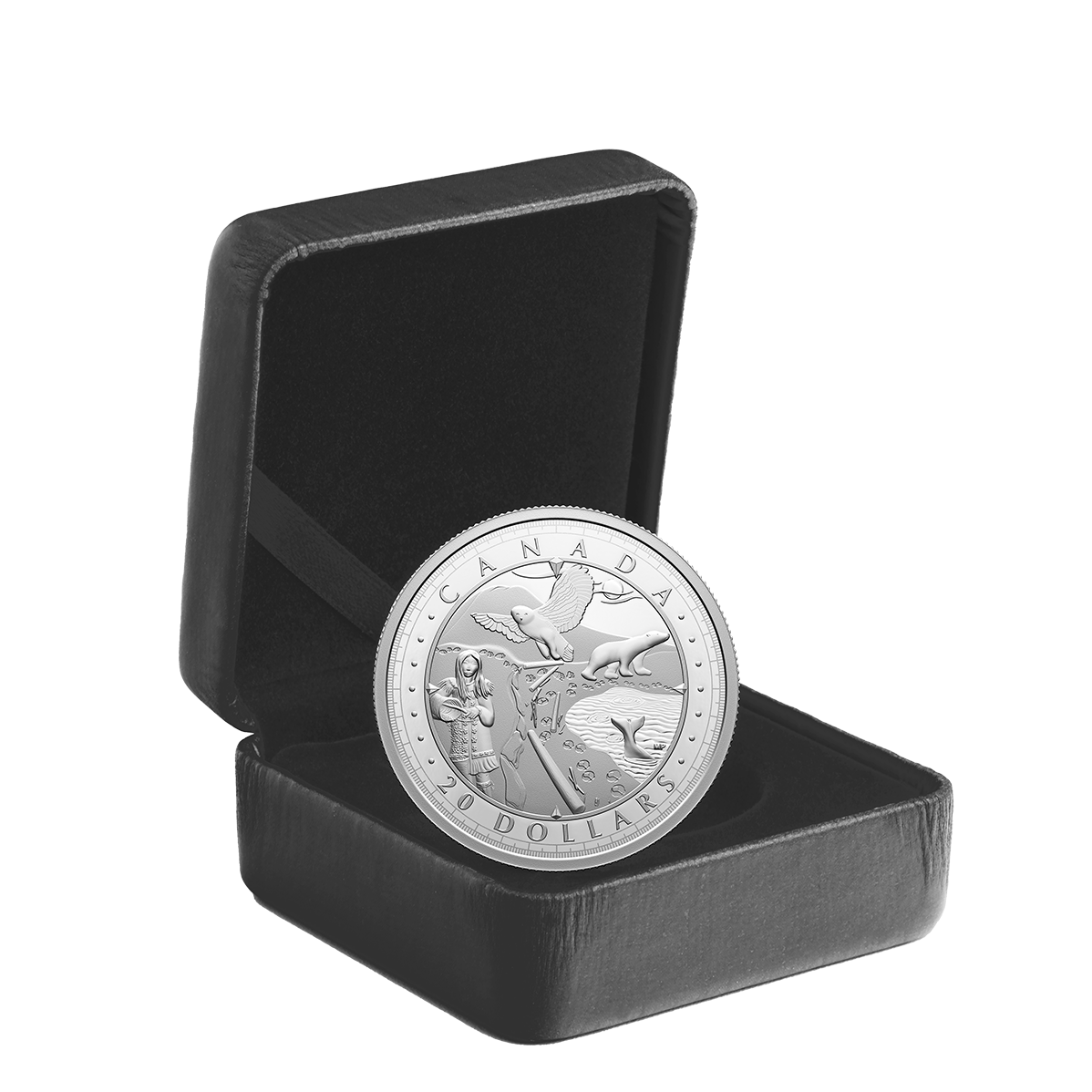 銀貨TheOfficialCoinoftheCANADIAN Mint Pure Silver Coin – This Is Canada: Wondrous Waters - Arctic