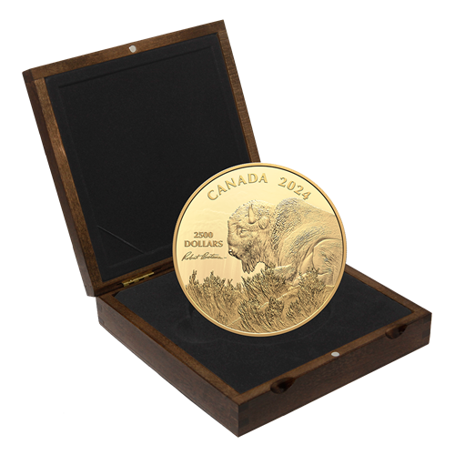 Ve coin with free watch on sale