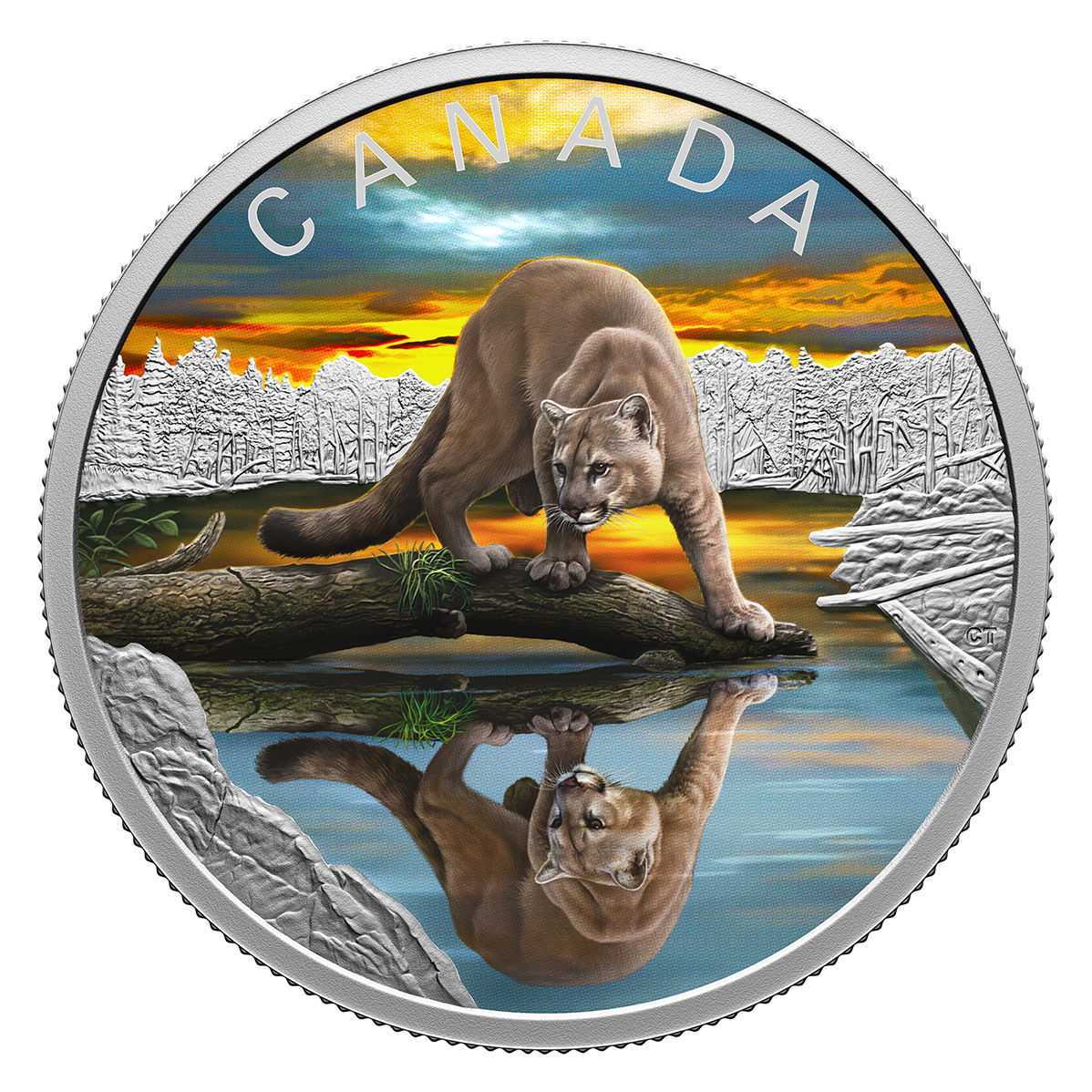 Pièce en argent fin – Reflets de la faune : Couguar